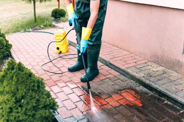 Best Sidewalk and Walkway Cleaning  in Pierre, SD